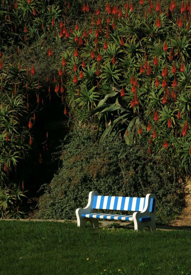 סינטרה Azenhas Do Mar Cottage מראה חיצוני תמונה